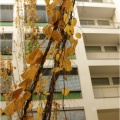 Ein Herbsttag in Dresden