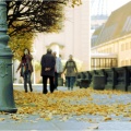 Ein Herbsttag in Dresden