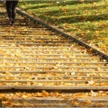 Ein Herbsttag in Dresden