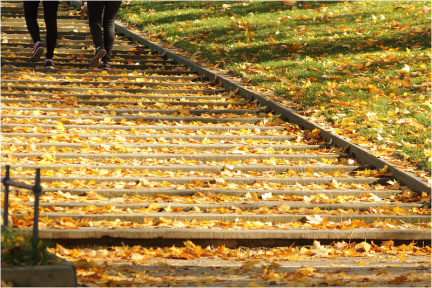 Ein Herbsttag in Dresden