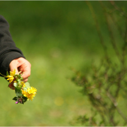 Frühling