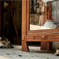 wie Hund und Katze ;-)