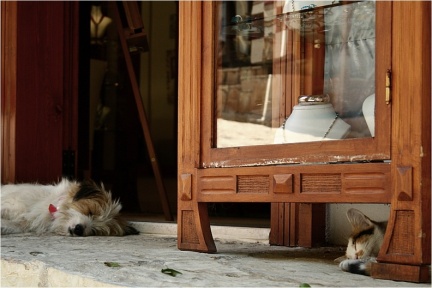 wie Hund und Katze ;-)