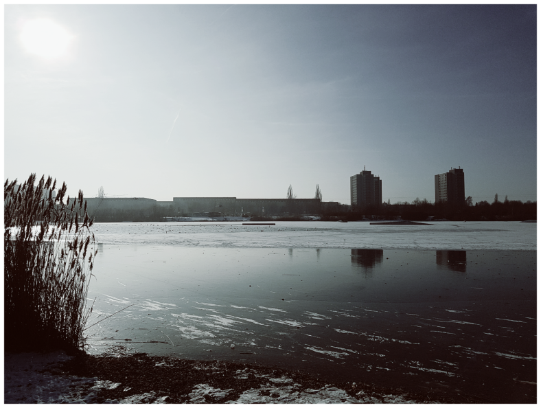 PicsArt_01-29-02.12.50.jpg