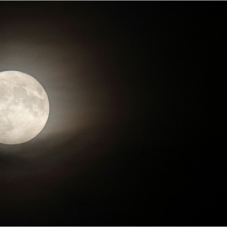 Mond