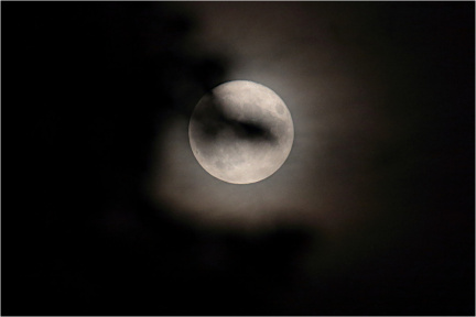 Mond hinter Blättern