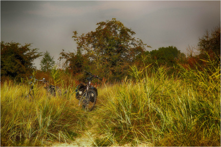 Räder im Gras