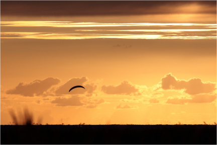 Surfer vor Sonnenuntergang