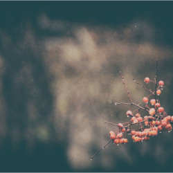 Natur