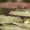 IMG 4766