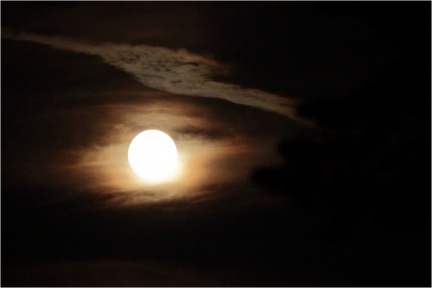 Mond