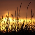 Sonnenuntergang in Schweden