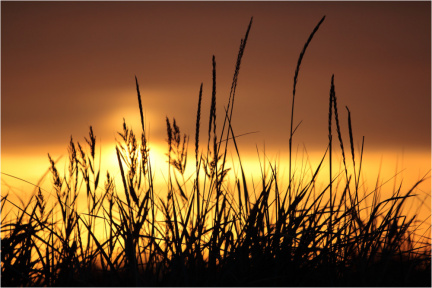 Sonnenuntergang in Schweden