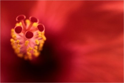 rot 2